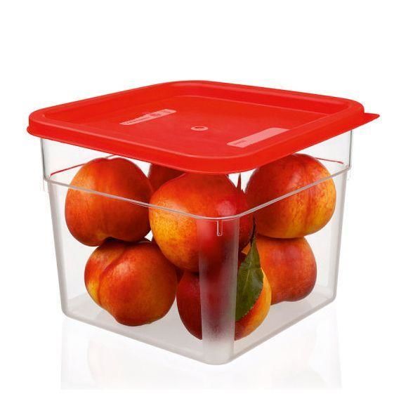 Bora Plastik Professional Pc Gıda Saklama Kabı Kapaklı – 6 Lt